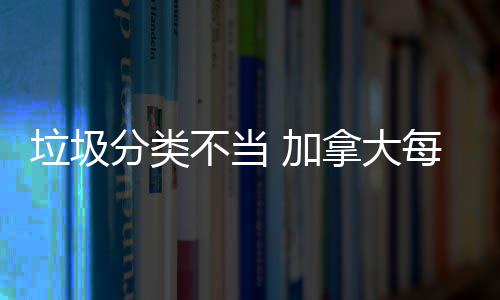 每年不当拿大垃圾 加万元分类损失数百
